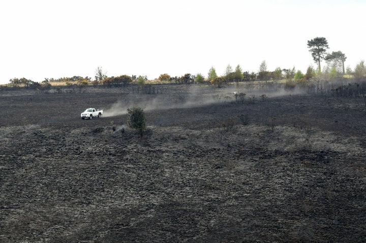 A forest ranger drives over the burned landscape of Ashdown Forest on April 29, 2019.