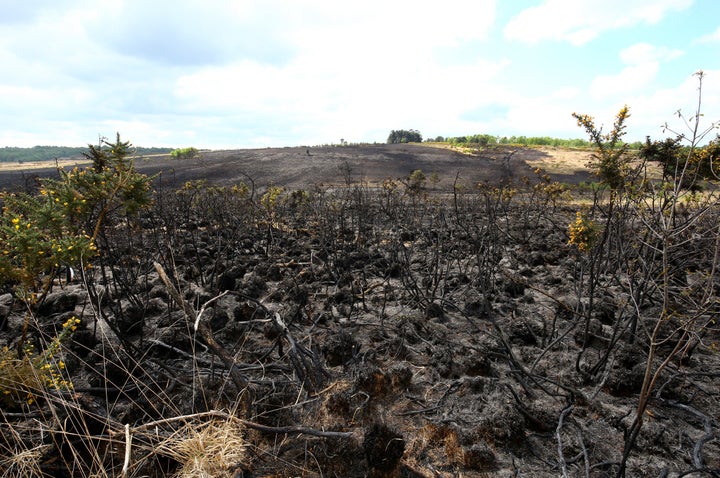 The scene of a fire at Ashdown Forest in East Sussex.