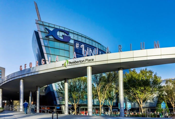 The Georgia Aquarium is one of many "certified autism centers" across the country. 
