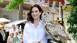 La batalla del (2)6 de