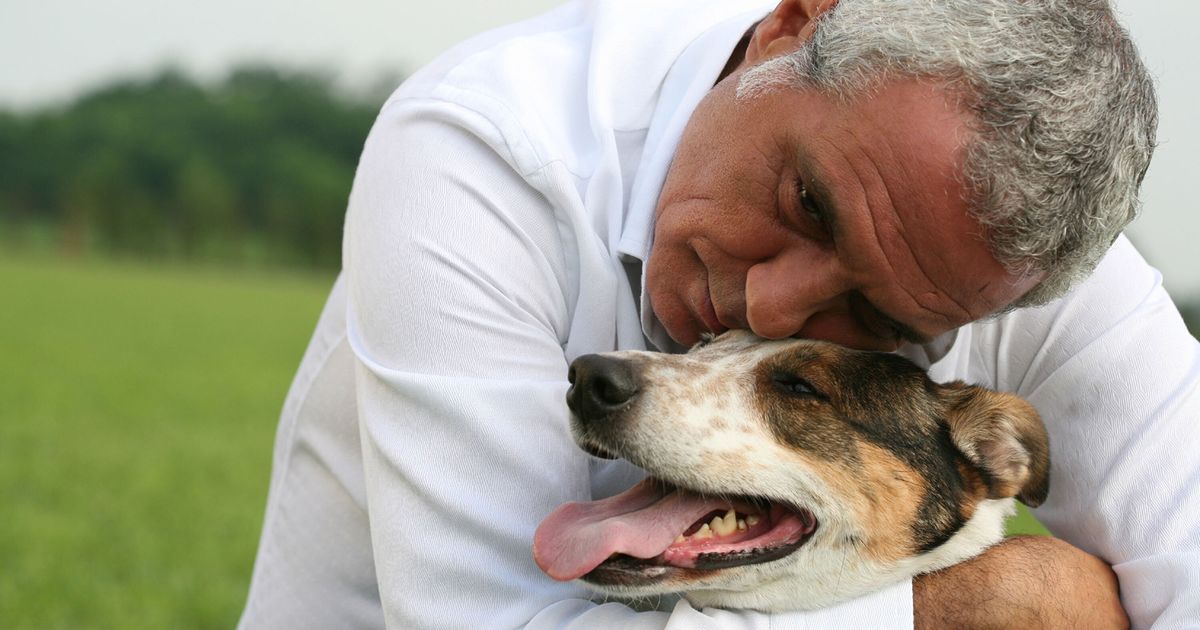 L'amore di un cane è per sempre | L'HuffPost