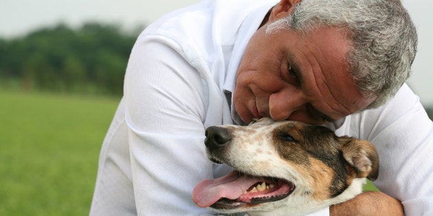 Lamore Di Un Cane è Per Sempre Lhuffpost
