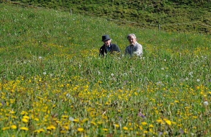Michael Caine y Harvey Keitel en el filme ‘La juventud’, de Paolo Sorrentino (2016).