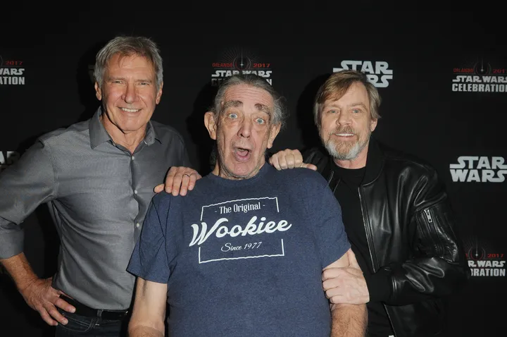 Mark Hamill Confirms Suspicions About Harrison Ford's On-Set Behavior 