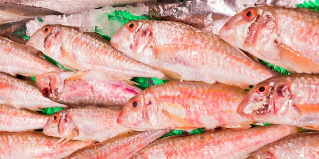 Fresh red mullet for sale on fish market of Madrid, Spain