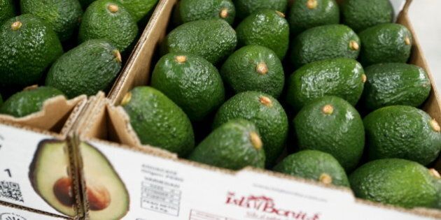 Boxes of avocados are seen at a packaging warehouse of Hoja Redonda plantation in Chincha, Peru, September 3, 2015. The eighth World Avocado Congress, an event dedicated to production, export and marketing of Hass avocados, will be held in Peru from September 13 to September 18. Peru is the second largest exporter of Hass avocados in the world, according to local media. REUTERS/Mariana Bazo