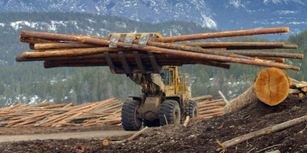 CANADA - FEBRUARY 23: Logs are transported through a Tembec Inc. lumber yard in Canal Flats, British Columbia, Canada, in this March 10, 2004 photo. The U.S. may have to drop 27 percent duties on Canadian lumber shipments worth $5.5 billion a year after a trade tribunal said there wasn't enough evidence to support the penalty. (Photo by Norm Betts/Bloomberg via Getty Images)