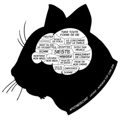 5 Solutions Alternatives Au Degriffage Felin Huffpost Quebec Vivre 5 Solutions Alternatives Au Degriffage Felin Huffpost Quebec Vivre
