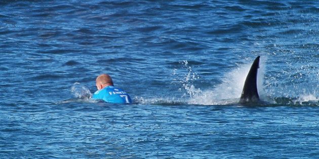 JEFFREYS BAY, EASTERN CAPE - JULY 19: In this screen grab from footage by the World Surf League, Mick Fanning of Australia is attacked by a Shark at the Jbay Open on July 19, 2015 in Jeffreys Bay, South Africa. (Photo by WSL/WSL via Getty Images)