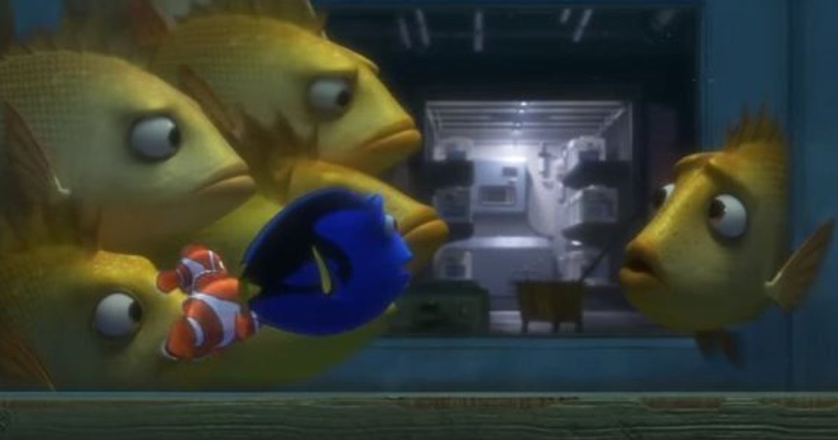 La dernière bande-annonce de «Finding Dory» est en ligne | HuffPost ...