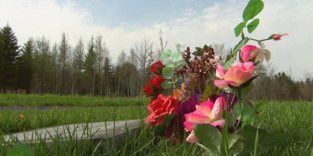 La communauté musulmane de Québec souhaite implanter un cimetière à Saint-Apollinaire, sur un terrain appartenant à l’entreprise Harmonia. (Photo : Radio-Canada)