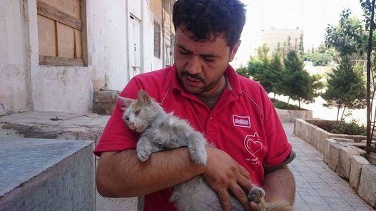 L'homme aux chats de Syrie