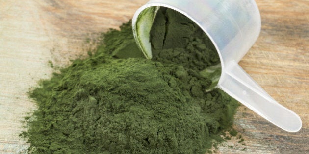Hawaiian spirulina powder spilling of a plastic measuring scoop on wooden background