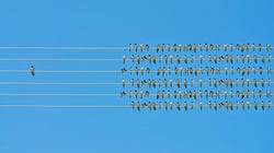 BLOGUE L’Asperger qui dérange, c'est mon