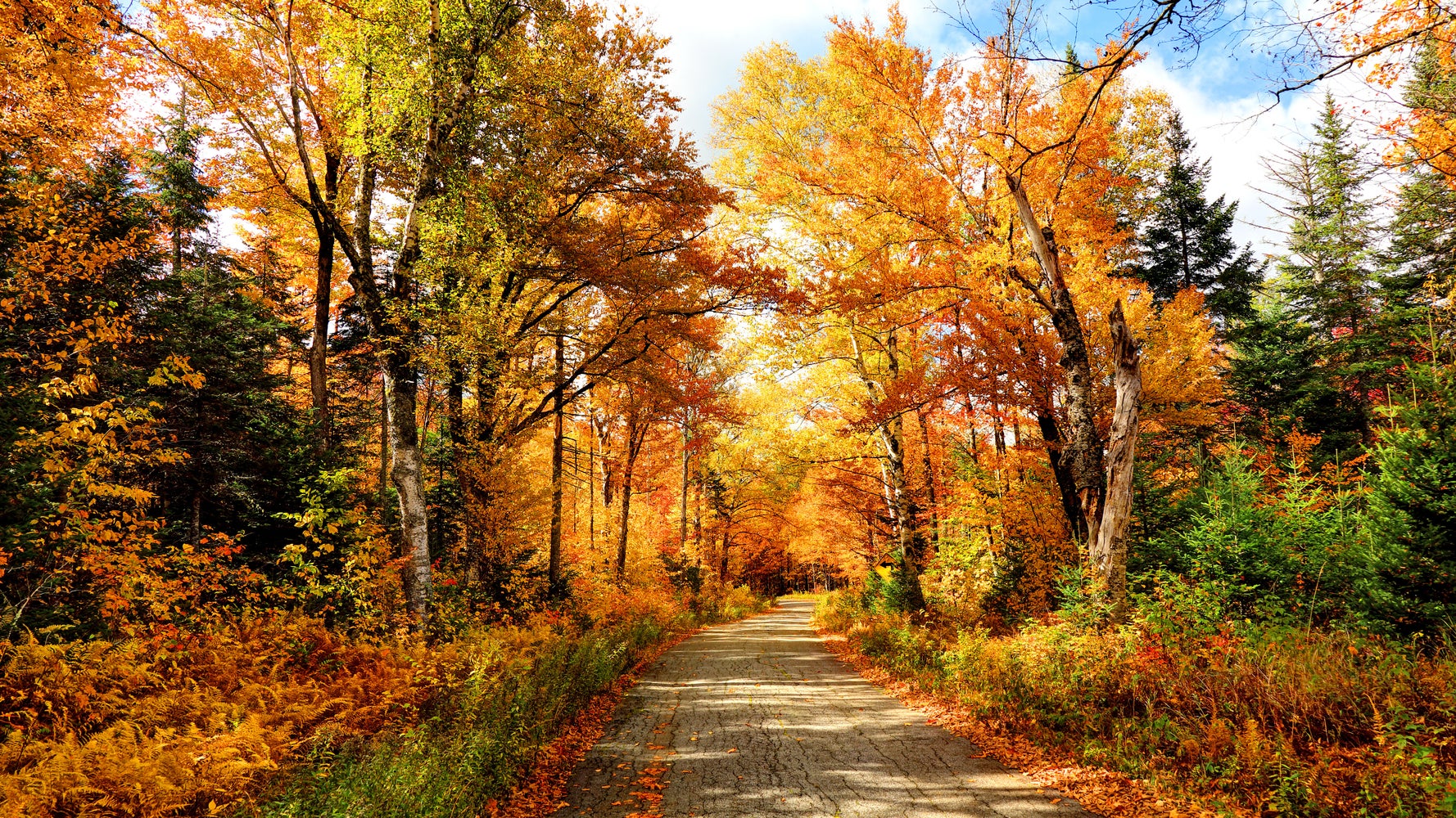 Les six plus beaux paysages à voir cet automne au Québec HuffPost