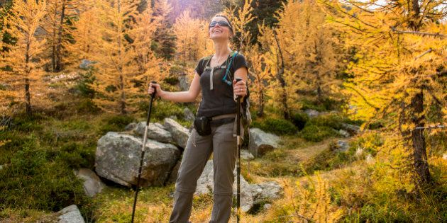Hiker pauses on path in autumn larches
