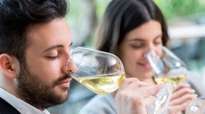 56695248 - close up portrait of young couple tasting white wine tasting.