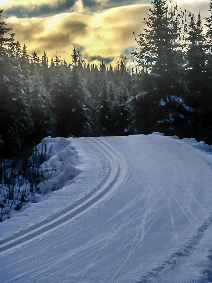 Piste sur neige fabriquée (au printemps) à la Forêt Montmorency au Nord de Québec.
