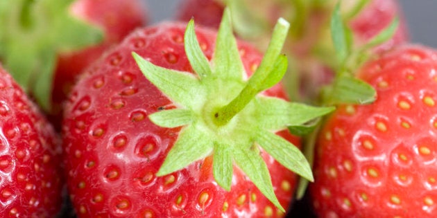 Close up of freshly picked strawberries