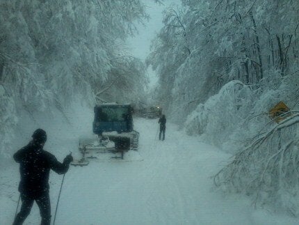 La désolation sur les sentiers du Parc de la Gatineau durant la tempête de glace.