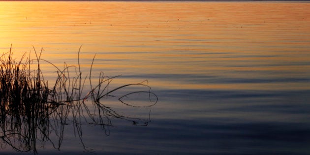 DSLR. Herbes à gauche, près du bord du lac, dans un coucher de soleil d'automne à la plage Les Grillons, du parc de l'Ãle St-Bernard, Châteauguay, Québec, Canada, près du lac St-Louis et du fleuve Saint-Laurent. Orange lumineux en dégradés, bleu et noir. Le lac est calme, avec des petites vagues et on voit l'horizon dans le haut de la photo.