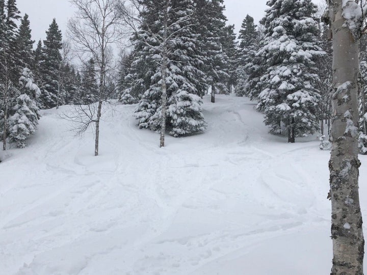 Les sous-bous du Mont Grand Fonds jeudi, avec 30 centimètres de poudreuse.