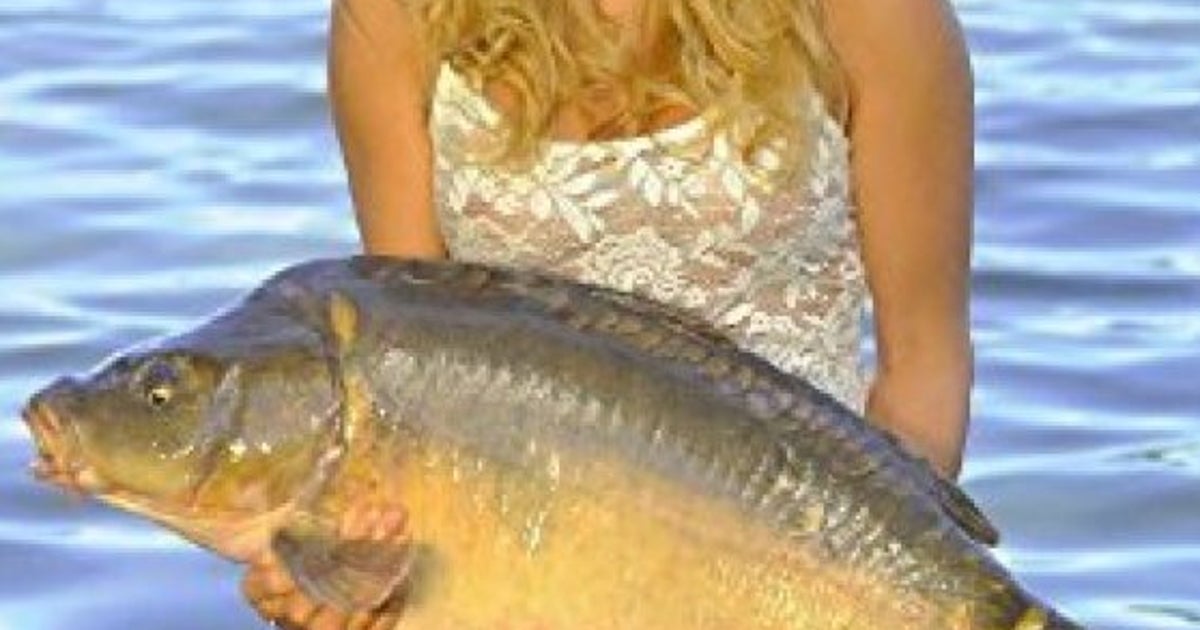Gros Poisson Chanté Par Claude François Femmes nues chopent gros poissons | HuffPost Québec