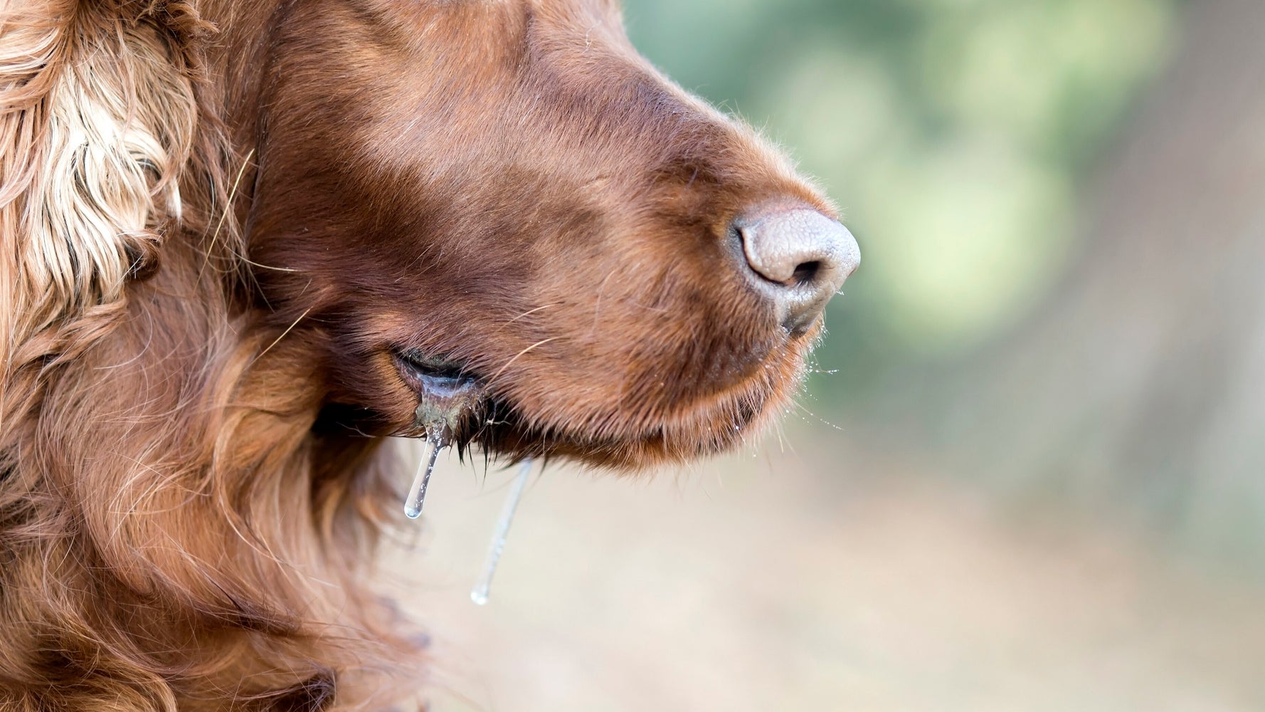 Une Naturopathe Dans L Eau Chaude Apres Avoir Traite Un Enfant Avec De La Salive De Chien Enrage Huffpost Quebec Vivre