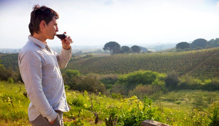 4844377 - man enjoying wine and looking beautiful view of vineyard