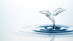 BLOGUE Agissons ensemble pour protéger l’eau et la mettre en