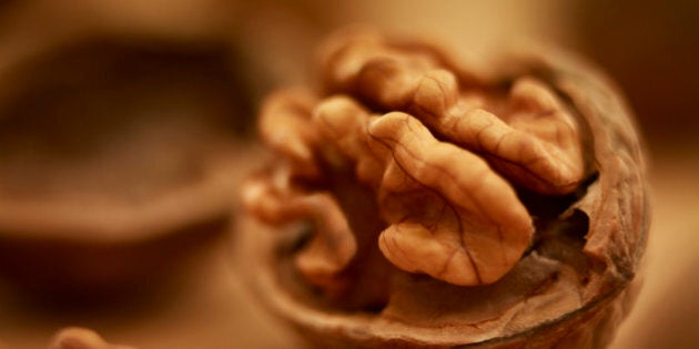 Close up of walnut in shell