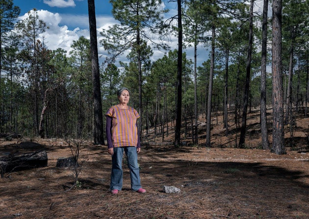 Isela González dirige l'Alliance Sierra Madre, une organisation qui défend les droits des communautés indigènes de la Sierra Tarahumara, au Mexique, depuis deux décennies.