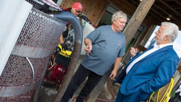 Après une carrière de neurochirurgien et une carrière en politique, Philippe Couillard tentera-t-il sa chance dans l'industrie du vin?