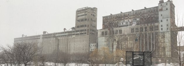 L'iconique Silo no 5 sera la pièce maîtresse d'un projet de redéveloppement de l'entrée du Vieux Port de Montréal.