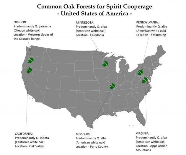 Forêts de chênes aux États-Unis