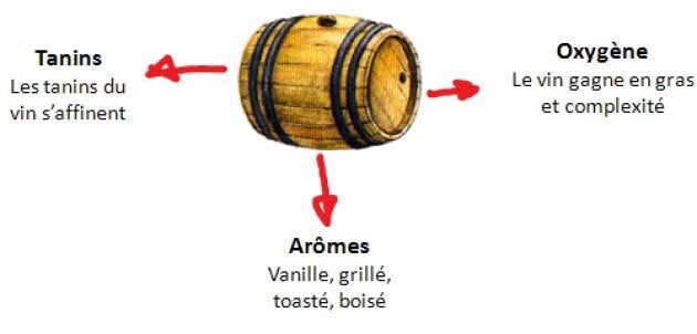 Effets des barriques sur le vin