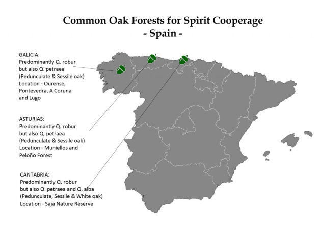 Carte des forêts de chênes en Espagne