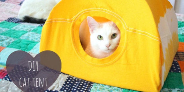 Voici Comment Fabriquer Une Tente Pour Chat Avec Un Vieux T Shirt Huffpost Vivre