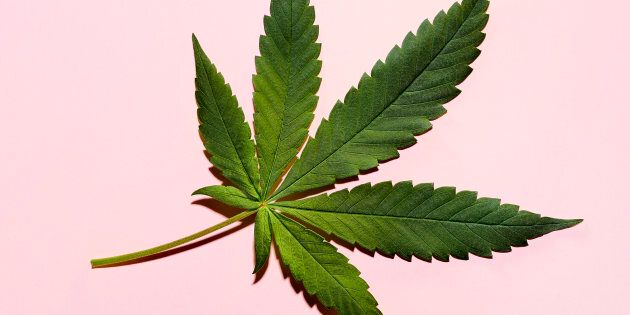 Le cannabis s’agit probablement du plus important dossier santé en 2018.