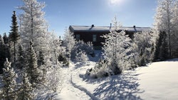 BLOGUE Une Française de France dans l'Arctique québécois du Canada (partie