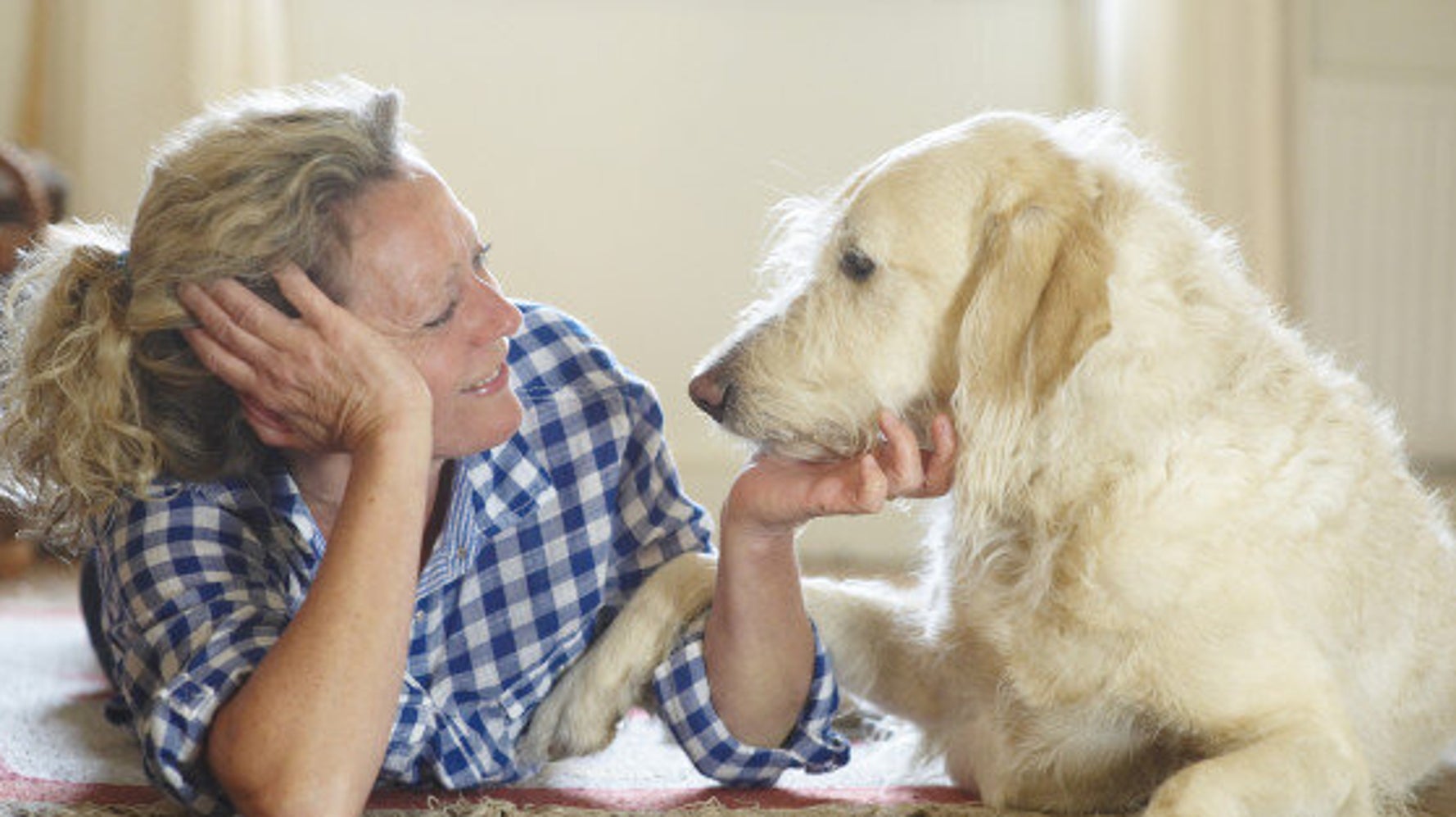 12 leçons tirées de la vie avec un chien à la maison