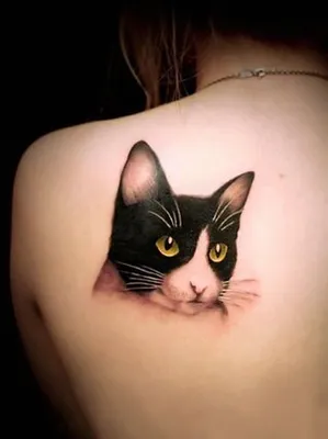 15 Jolis Tatouages De Chat Reperes Sur Pinterest Pour Inspiration Huffpost Vivre