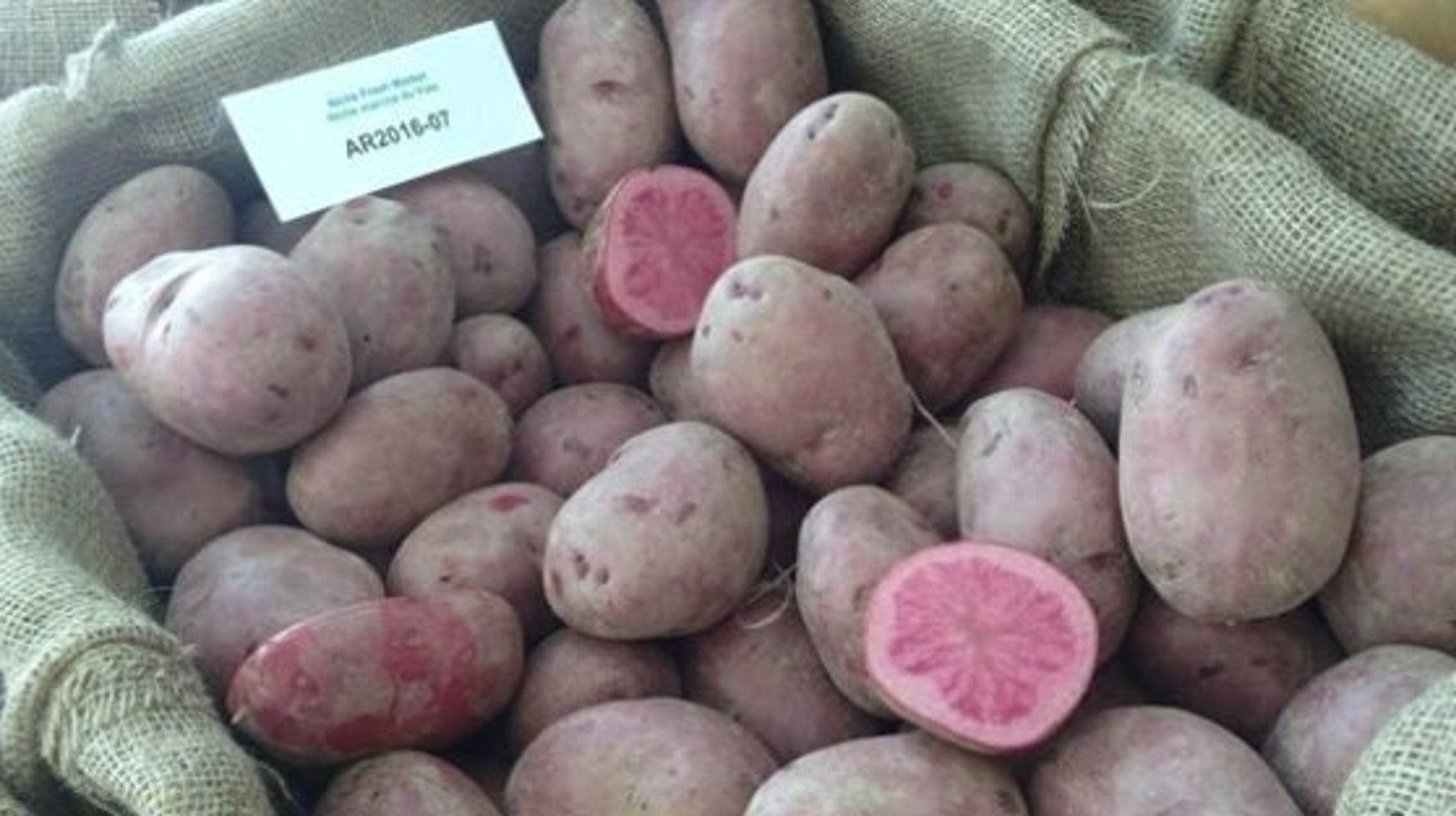 Une pomme de terre rose bientôt dans nos assiettes? | HuffPost Nouvelles
