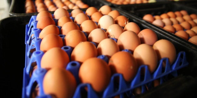 Collected eggs await processing at the Mulloon Creek Natural Farm in Bungendore, Australia, on Thursday, July 30, 2015. Australia's gross domestic product grew 2.3 percent in the first quarter from a year earlier. Photographer: Brendon Thorne/Bloomberg via Getty Images