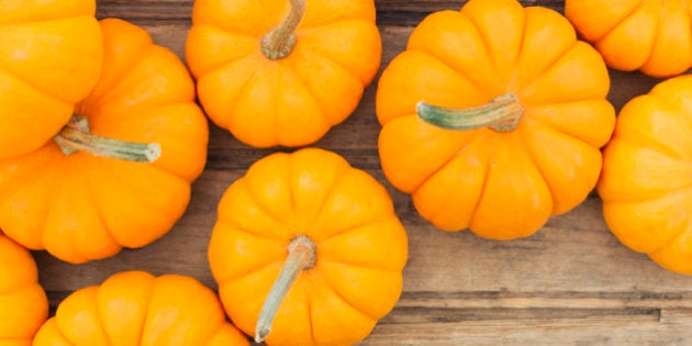 Overhead view of yellow pumpkins