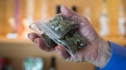 Santé mentale et cannabis: remettre les pendules à