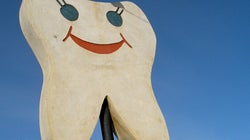De l'importance de prendre soin de ses dents et de son