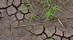 La décennie qui vient décidera de l'avenir du monde pour les prochains