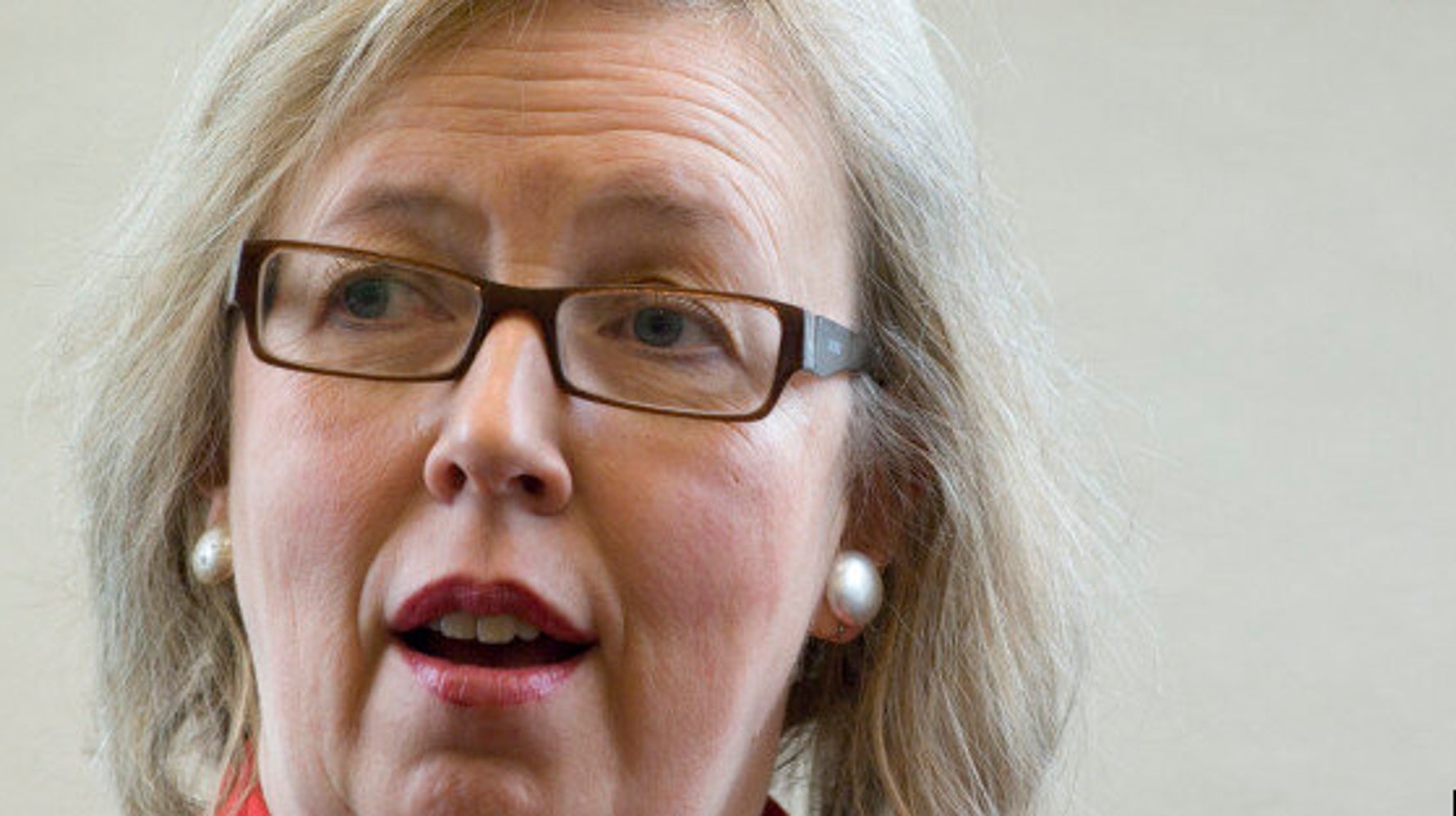 Le Parti vert invité à une rencontre de préparation au débat télévisé