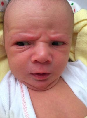 16 Photos De Passeport De Bebes Aussi Mignonnes Que Desopilantes Photos Huffpost Null